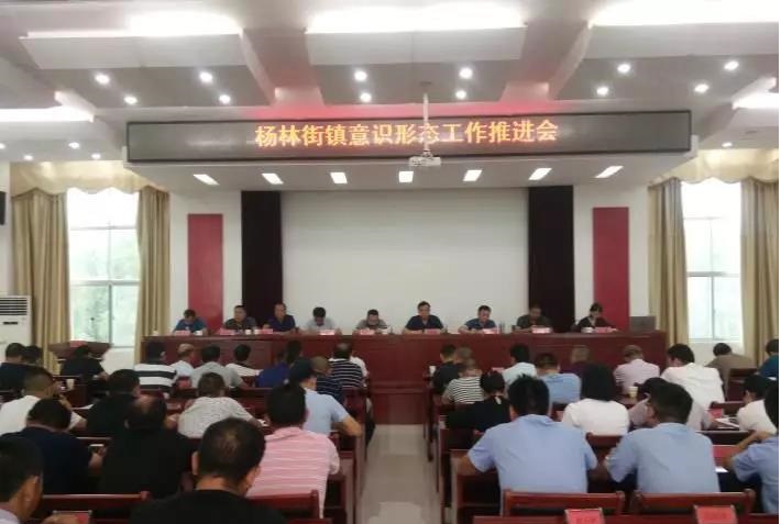 杨林街镇召开意识形态工作推进会