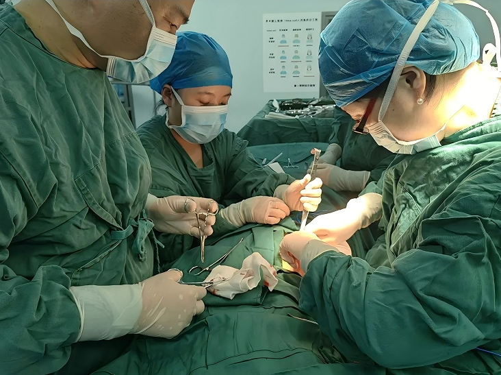 12041733310550494023.png screenshot-1733310517222.png