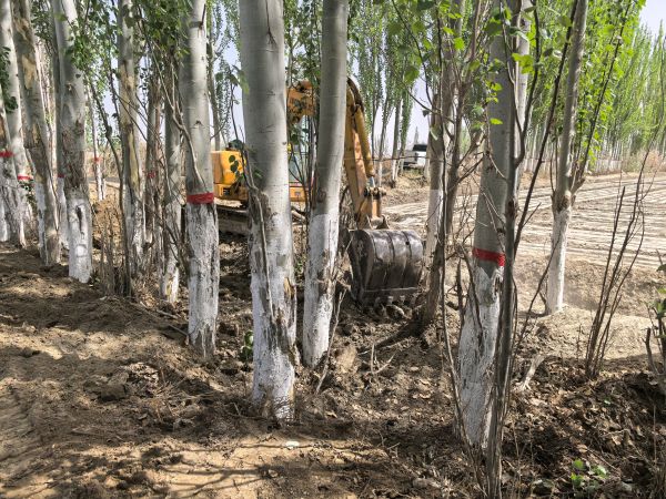 04151744722778777923.jpg IMG_20250415_163302.jpg