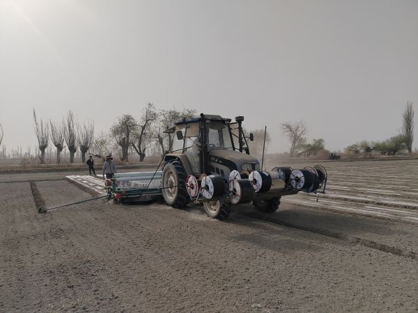 04161744796866241930.jpg 微信图片_20250416103626.jpg