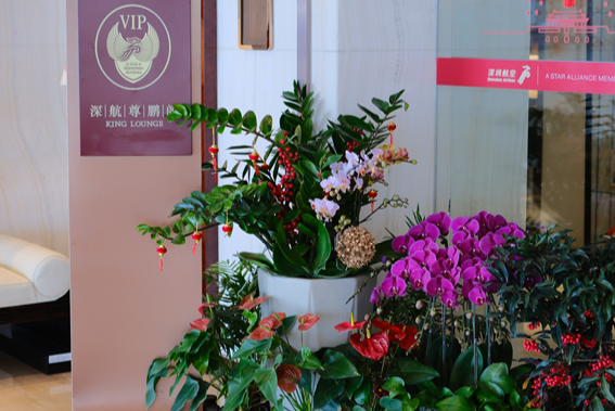 01291769681479228809.png 屏幕截图 2026-01-29 181106.png