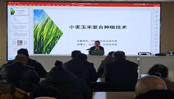 02111770816898927017.png 屏幕截图 2026-02-11 213445.png