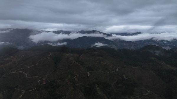 DJI_20260224100830_0075_D.JPG