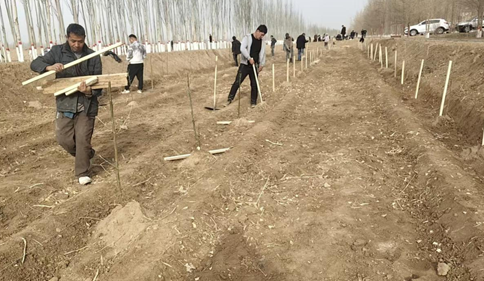 03111773241743214021.png 屏幕截图 2026-03-11 225223.png