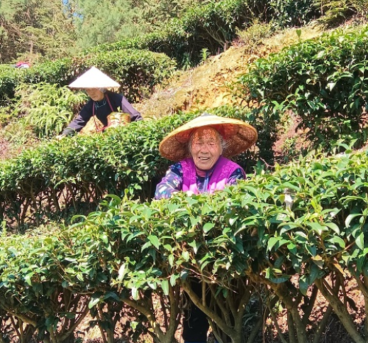 03121773305393717015.png 屏幕截图 2026-03-12 164937.png
