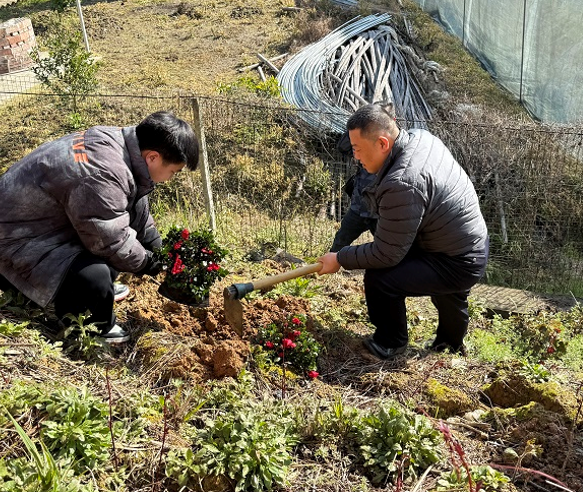 03121773307043466796.png 屏幕截图 2026-03-12 171633.png