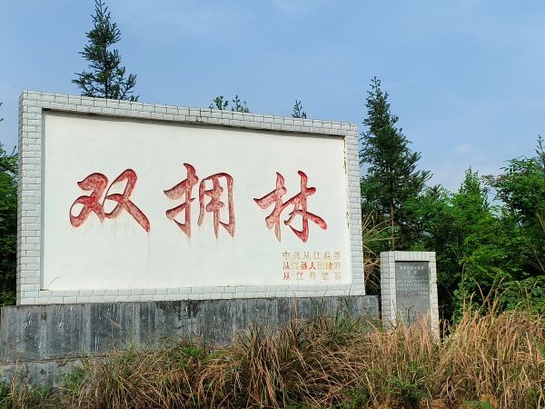03131773398286560611.jpg 图为 从江县军民共建“双拥林”纪念碑(鲁畅 摄).jpg
