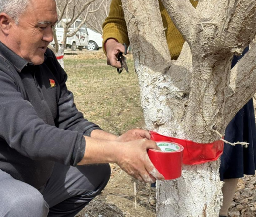 屏幕截图 2026-03-16 183318.png
