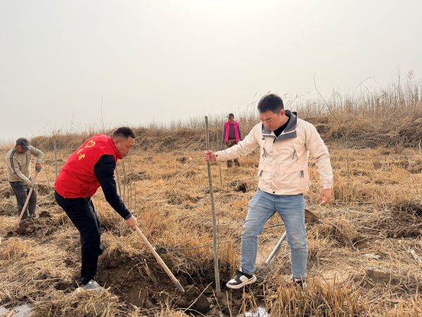 植树造林图片 (2).JPG