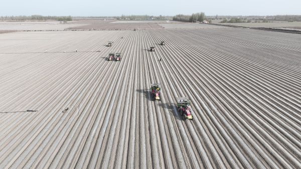 04091775730908228059.jpg DJI_0095.MP4_20260405_144119.310.jpg