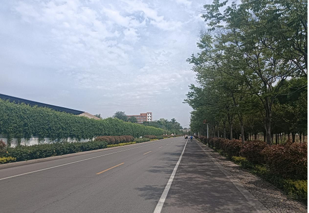 04211776758991227334.png 图片4.png