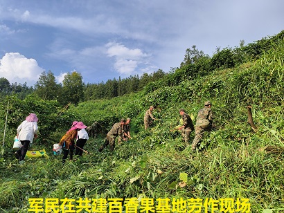 04281777367447222727.jpg 图为 军民在共建百香果基地劳作现场(鲁畅 摄).jpg