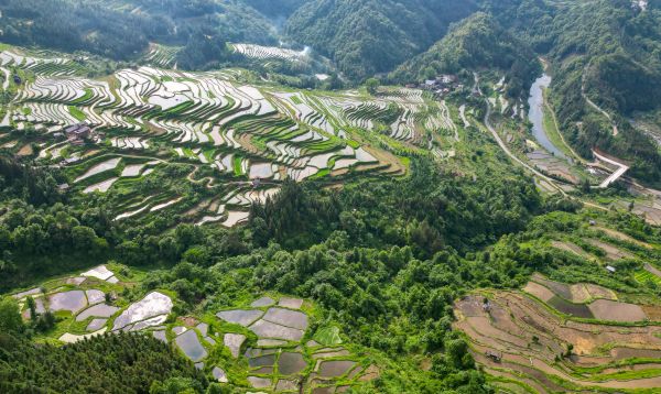 2026年5月14日在贵州省从江县翠里乡翠里村拍摄的梯田景观。 (1).jpg