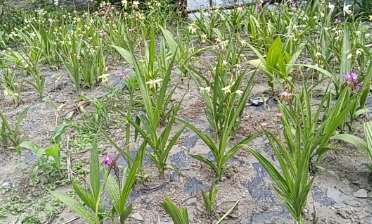 05281779972441729857.png 屏幕截图 2026-05-28 204643.png