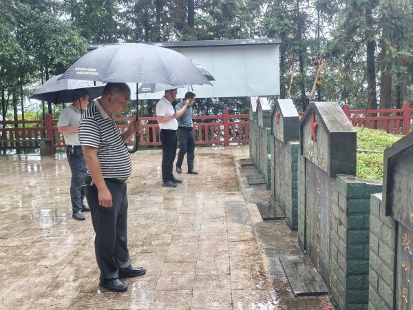 图为 实地查看烈士墓碑现场（陈大宇 摄）.jpg